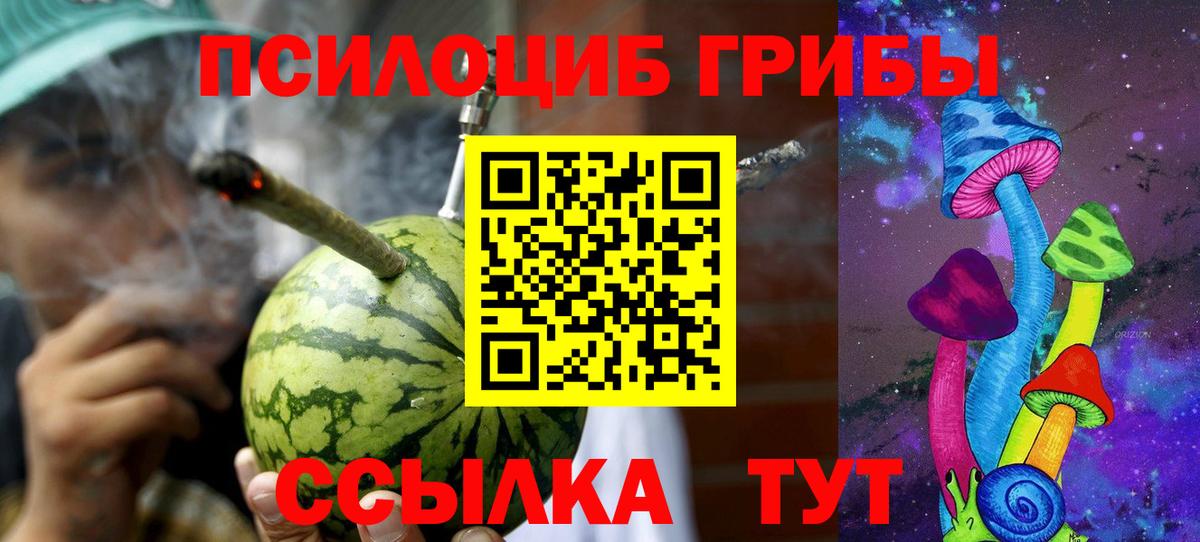Бутурлиновка  Галлюциногенные грибы Psilocybine cubensis  Вход с VPN  Псилоцибиновые грибы GOLDEN TEACHER 